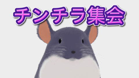 チンチラ集会