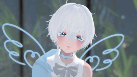 しら組