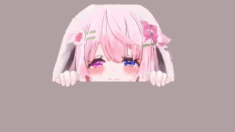 しかフィットネス
