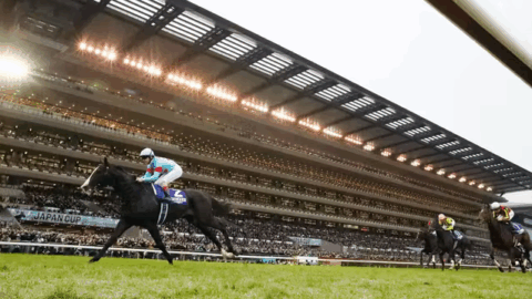すみだ競馬場