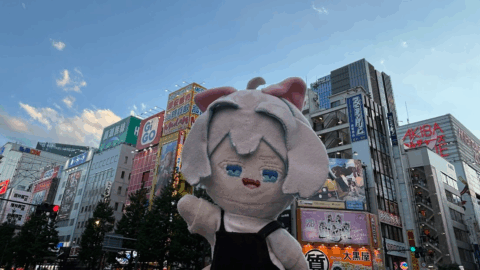 ないぬい