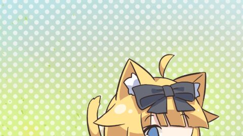ねこばこ㌠