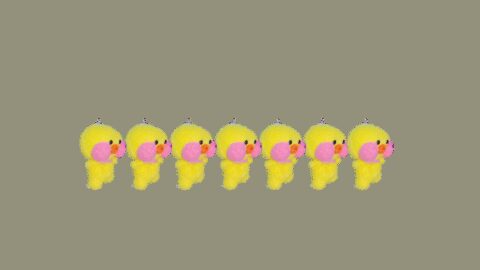 きいろくらぶ