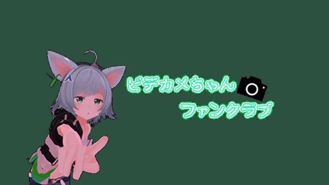 ビデカメちゃんファンクラブ