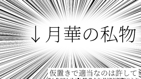 月華の私物