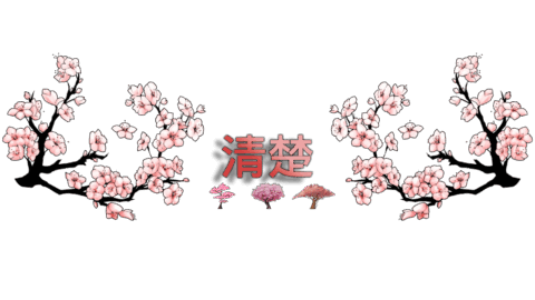 今日も清楚