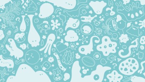 ちみもうりょ！