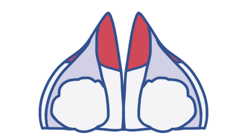 きつね教