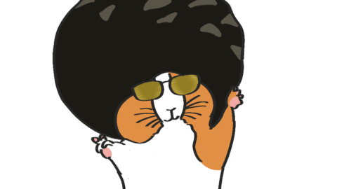 にっくるファンクラブ