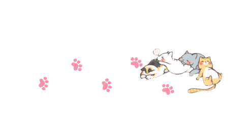 貓宇宙HAPPYCAT